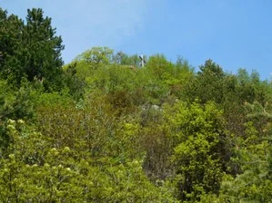 monte celva